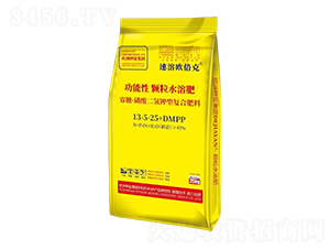 ǡ͏(f)Ϸ13-5-25+DMPP-ܚW-}H