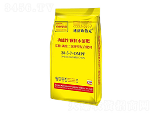 ǡ͏(f)Ϸ28-5-7+DMPP-ܚW-}H