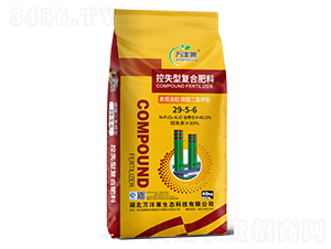 Ϳʧ͏(f)Ϸ29-5-6-fSR-Dؐ