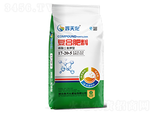 ͏(f)Ϸ17-20-5-x컯-Dؐ