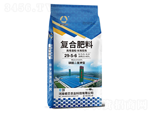 LЧʧ(f)Ϸ29-5-6-DؐʘI(y)