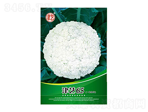 ˷N-ˇ65-Sr(nng)I(y)