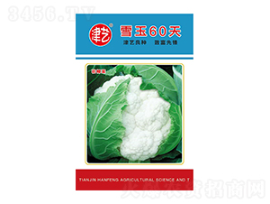 ˷N-ѩ60-Sr(nng)I(y)