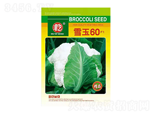 ˷N-ѩ60-Sr(nng)I(y)