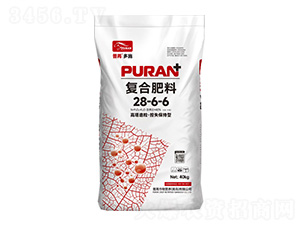 ʧ͏(f)Ϸ28-6-6-۶ʩ