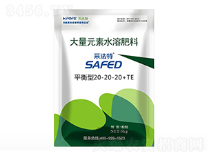 ɷشԪˮܷƽ20-20-20+TE-ʩ