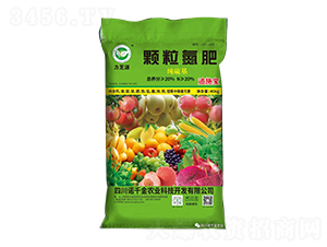 (jng)(j)w-֥Դ-Zǧr(nng)I(y)