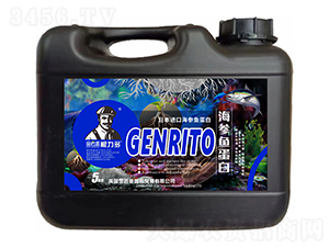 日本進(jìn)口海參魚(yú)蛋白-根力多-金匠星