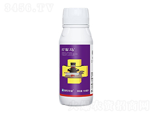 1%׾S}΢鄩-R-̖(ho)Сtñ